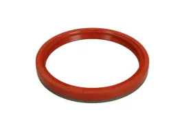victor-reinz-simering-tyl-walu-renault-25td-100x118x12