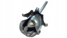 kwiat-kwiatek-kwiatki-pak-roza-kuta-mini