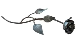 kwiat-kwiatek-kwiatki-pak-roza-duza-p001
