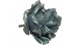 kwiat-kwiatek-kwiatki-pak-roza-kuta-sredni