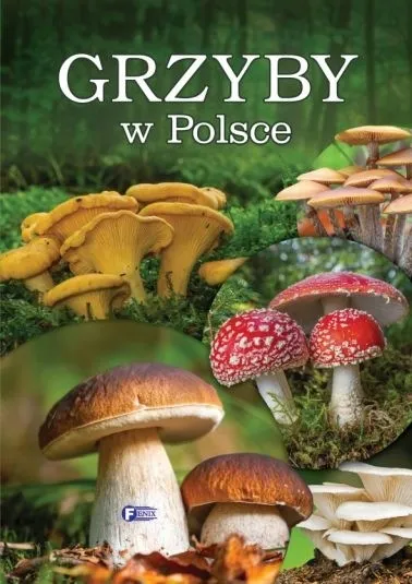 GRZYBY W POLSCE Atlas Grzybów gatunki odmiany cechy Encyklopedia Leksykon