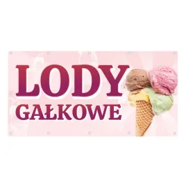 baner-lody-galkowe-2x1m