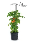 doniczka-do-uprawy-pomidorow-tomato-ipom300-ksztalt-okragly