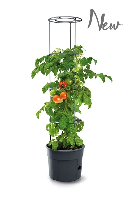 doniczka-do-uprawy-pomidorow-tomato-ipom300