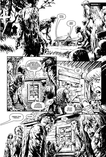 potworna-kolekcja-bernie-wrightson-steve-niles-okladka-twarda