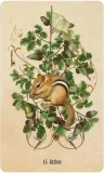 unlocking-the-secret-garden-oracle