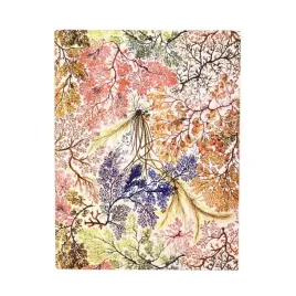 notatnik-linia-anemone-ultra