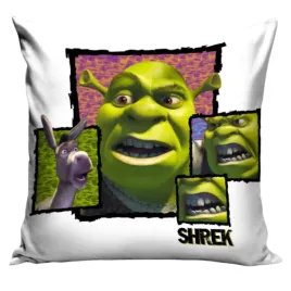 poszewka-shrek-licencyjna-z-bohaterami-bajki-dekoracyjna-dla-fana