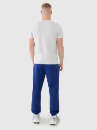 4f-spodnie-meskie-z-dzianiny-french-terry-z-kolekcji-basic-4fwmm00ttrom1139