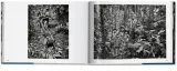 sebastiao-salgado-amazonia-sebastiao-salgado-jezyk-angielski