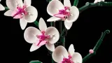 lego-botanicals-10311-orchidea-certyfikaty-opinie-atesty-ce