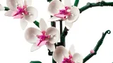 lego-botanicals-10311-orchidea-liczba-elementow-608