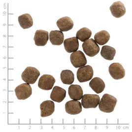 wolfsblut-cold-river-adult-trout-sweet-pota-125kg