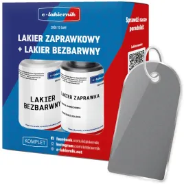 lakier-zaprawka-bezbarwny-zaprawkowy-samochodowy-renault-ted69-platingrau