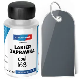 lakier-zaprawkowy-zaprawka-samochodowy-opel-163-lichtsilber