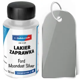 lakier-zaprawkowy-zaprawka-samochodowy-ford-moondust-silver