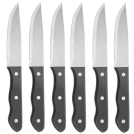 noz-do-stekow-ze-stali-nierdzewnej-szerokie-ostrze-dl-250mm-zestaw-6szt-