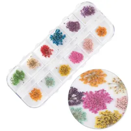 suszone-kwiaty-do-zdobien-paznokci-w-kasetce-molly-nails-rodzaj-a-24szt