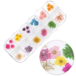 suszone-kwiaty-do-zdobien-paznokci-w-kasetce-molly-nails-rodzaj-b-36szt