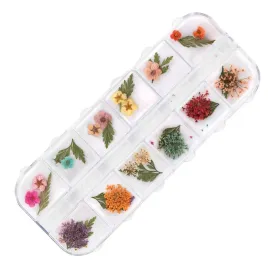 suszone-kwiaty-do-zdobien-paznokci-w-kasetce-molly-nails-rodzaj-e-36szt