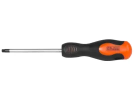 wkretak-torx-t25x100-mm-mm-cr-mo-richmann-c5468