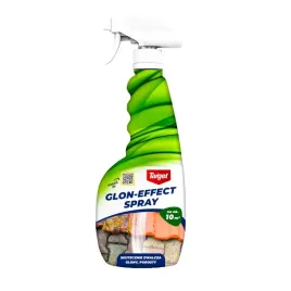 srodek-na-glony-porosty-dach-podjazd-kostka-usuwa-glony-target-glon-effect