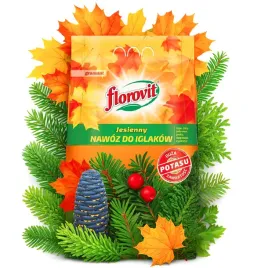 florovit-nawoz-jesienny-do-iglakow-i-tui-granulat-zimowanie-potas-worek-3kg