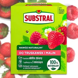 substral-natural-naturalny-nawoz-do-truskawek-i-malin-na-3-miesiace-650g