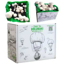 pieczarka-biala-grzybnia-pieczarki-do-uprawy-domowej-hodowla-pieczarki