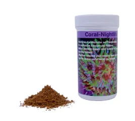 preis-coral-nightlife