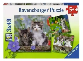 puzzle-3x49-kocieta