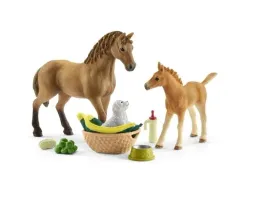 zestaw-pielegnacyjny-quarter-horse-zrebie