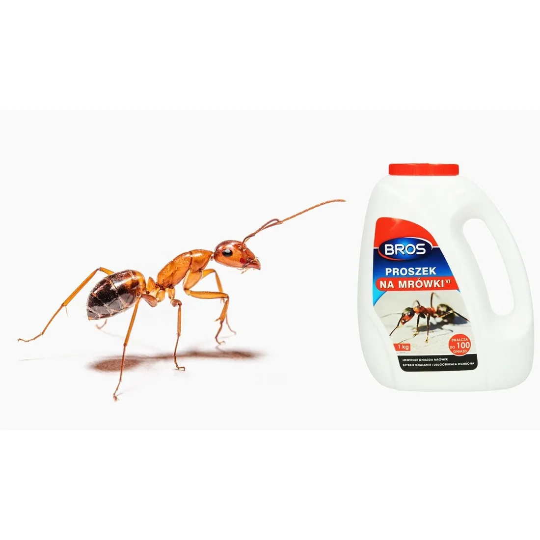 bros-proszek-na-mrowki-1kg-stan-nowy