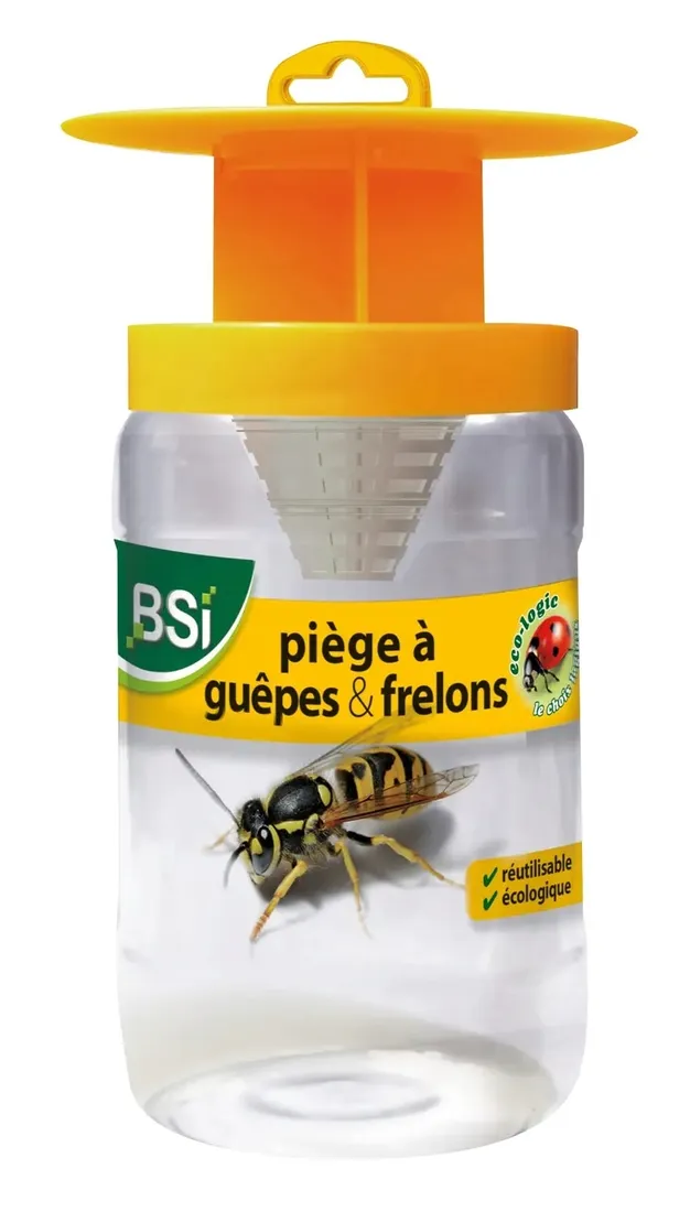pulapka-przeciwko-osom-bsi