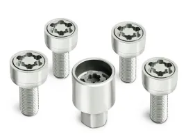 oryginal-sruby-zabezpieczajace-kola-skoda-octavia
