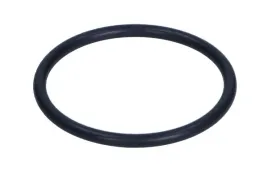 uszczelka-termostatu-3-0-tdi-vw-audi-oryginal-059121665