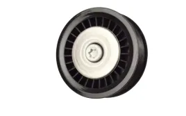 napinacz-paska-micro-v-renault-kangoo-ii-08greater-rolka