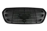 atrapa-przod-srodek-ford-transit-13-