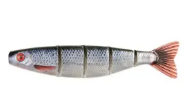 fox-rage-przyneta-gumowa-fox-pro-shad-jointed-23cm-natural-roach