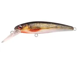 wobler-spro-ikiru-micro-jerk-roach-5-cm-f