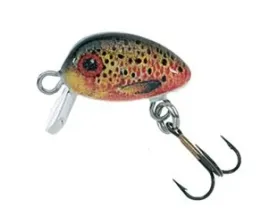 wobler-jaxon-hs-micron-2-s-ew