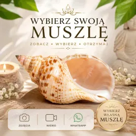 wybor-konkretnej-muszli-ze-zdjec-lub-video-przed-wysylka