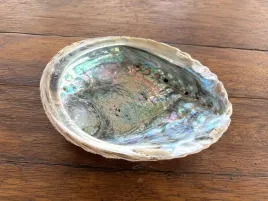 muszla-abalone-paua-l-14-15-cm-podstawka-do-palo-santo-bialej-szalwii-ziol