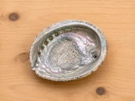muszla-abalone-paua-s-10-11-cm-podstawka-do-palo-santo-bialej-szalwii-ziol