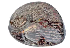 muszla-abalone-obustronnie-polerowana-15-16-cm-podstawka-palo-santo-szalwia