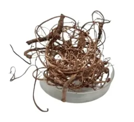korzonki-curly-moss-20g