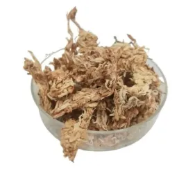 mech-torfowiec-sphagnum-moss-20g