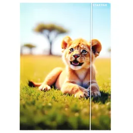 teczka-z-gumka-a4-wild-animal-starpak
