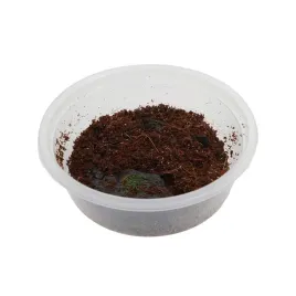 ekipa-sprzatajaca-skoczogonki-250-ml