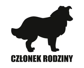 naklejka-czlonek-rodziny-or-border-collie